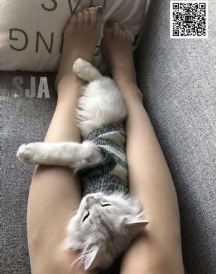 亚洲av成人不卡在线观看播放_完整视频大全