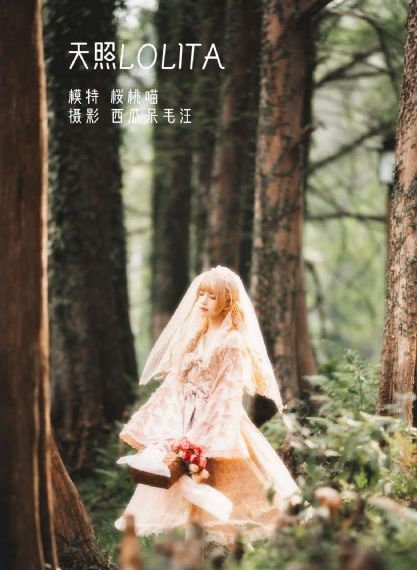 国产电视剧最高收视率_蓝光高清完整版