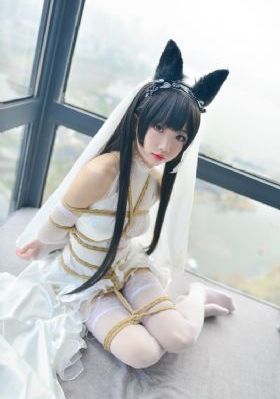亚洲欧美综合性视频_DVD全集免费播放