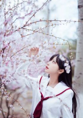 欧美色片图_DVD高清在线观看